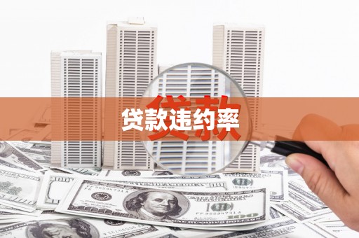林州贷款违约率