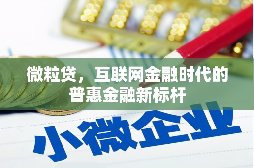 林州微粒贷，互联网金融时代的普惠金融新标杆