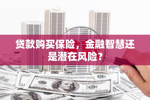 林州贷款购买保险，金融智慧还是潜在风险？
