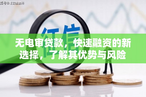 林州无电审贷款，快速融资的新选择，了解其优势与风险