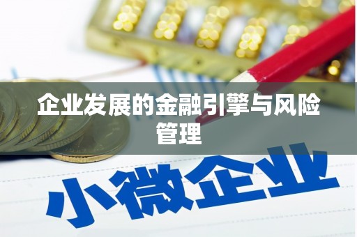 林州企业发展的金融引擎与风险管理