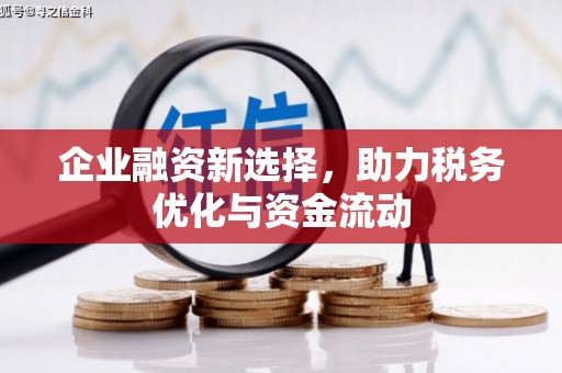 林州企业融资新选择，助力税务优化与资金流动