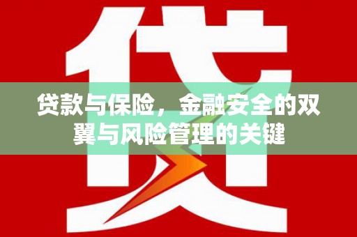 林州贷款与保险，金融安全的双翼与风险管理的关键