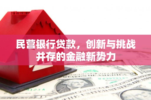 林州民营银行贷款，创新与挑战并存的金融新势力