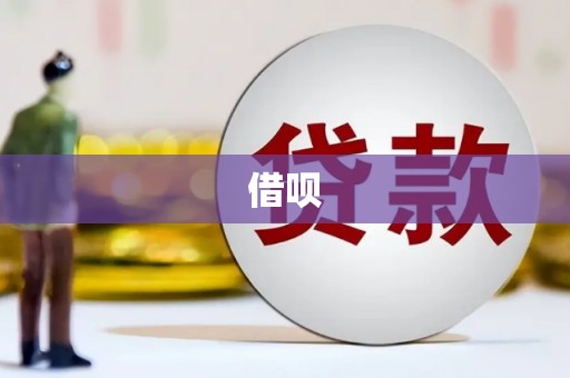 林州借呗
