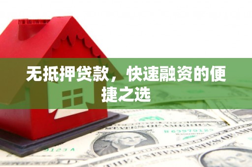 林州无抵押贷款，快速融资的便捷之选