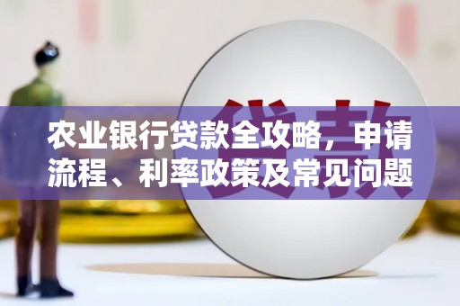 林州农业银行贷款全攻略，申请流程、利率政策及常见问题解析