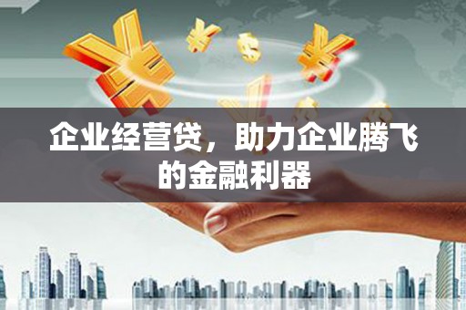 林州企业经营贷，助力企业腾飞的金融利器