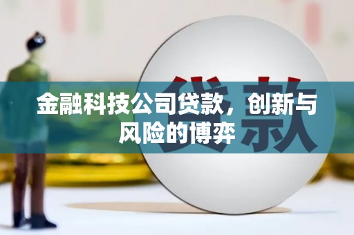 林州金融科技公司贷款，创新与风险的博弈