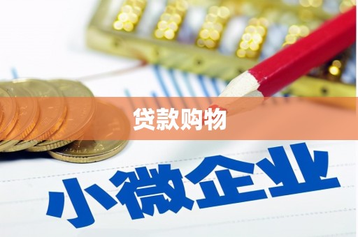 林州贷款购物