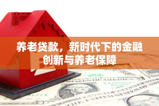 林州养老贷款，新时代下的金融创新与养老保障