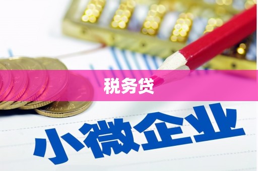 林州税务贷