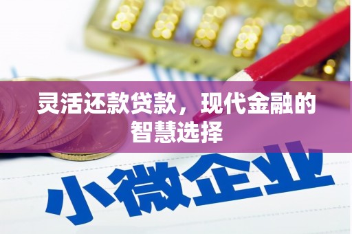 林州灵活还款贷款，现代金融的智慧选择