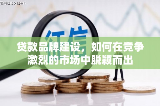 林州贷款品牌建设，如何在竞争激烈的市场中脱颖而出