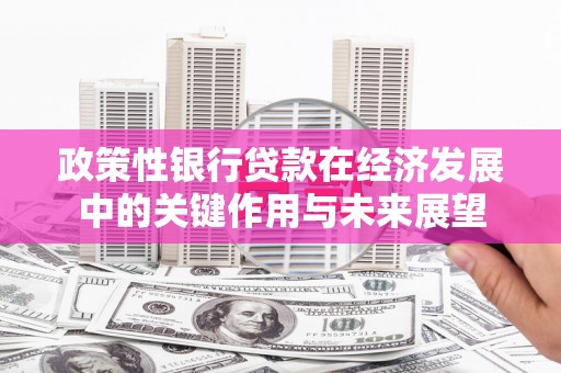 林州政策性银行贷款在经济发展中的关键作用与未来展望