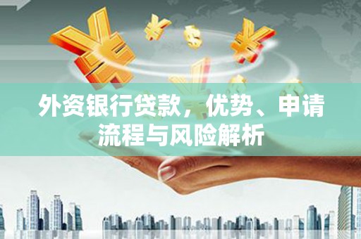 林州外资银行贷款，优势、申请流程与风险解析