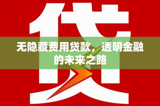 林州无隐藏费用贷款，透明金融的未来之路