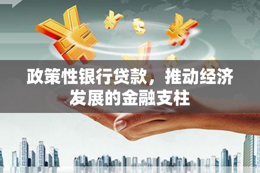 林州政策性银行贷款，推动经济发展的金融支柱