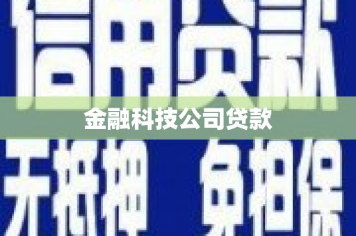 林州金融科技公司贷款