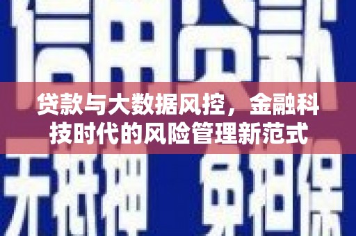 林州贷款与大数据风控，金融科技时代的风险管理新范式