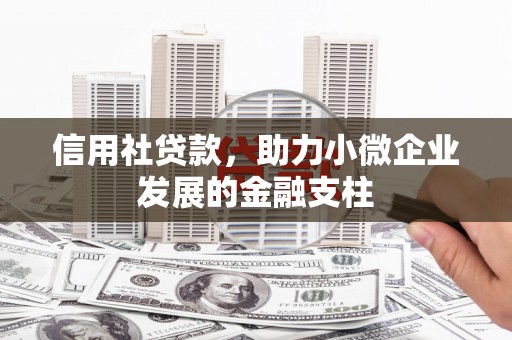林州信用社贷款，助力小微企业发展的金融支柱
