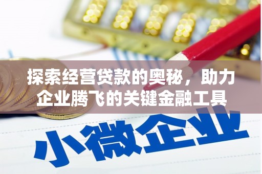 林州探索经营贷款的奥秘，助力企业腾飞的关键金融工具
