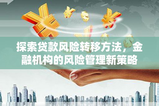 林州探索贷款风险转移方法，金融机构的风险管理新策略