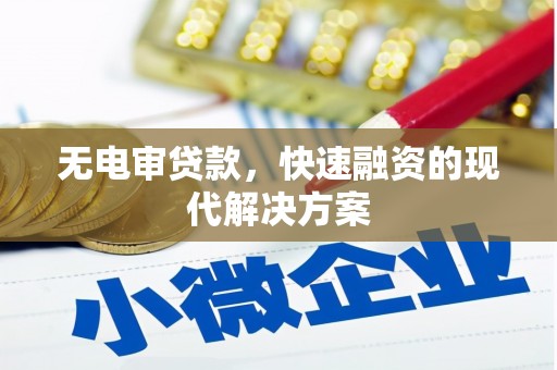 林州无电审贷款，快速融资的现代解决方案