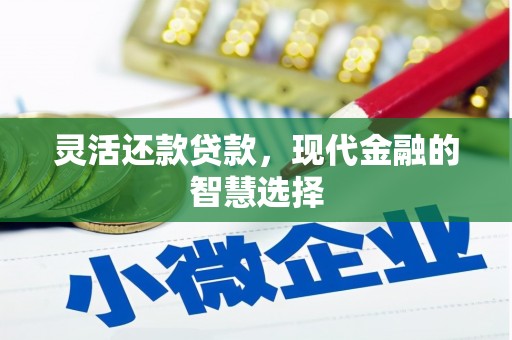 林州灵活还款贷款，现代金融的智慧选择