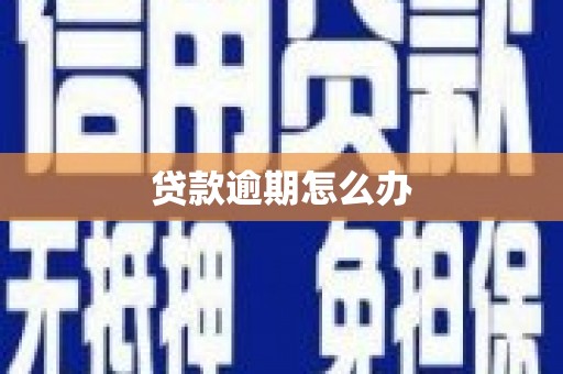 林州贷款逾期怎么办