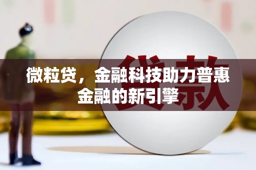林州微粒贷，金融科技助力普惠金融的新引擎