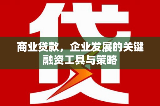 林州商业贷款，企业发展的关键融资工具与策略