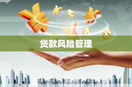 林州贷款风险管理