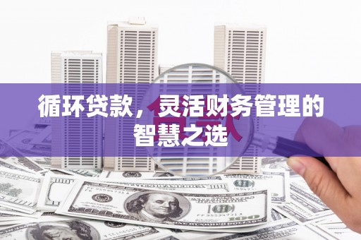 林州循环贷款，灵活财务管理的智慧之选