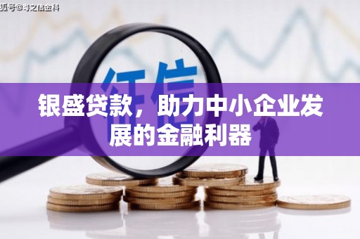 林州银盛贷款，助力中小企业发展的金融利器
