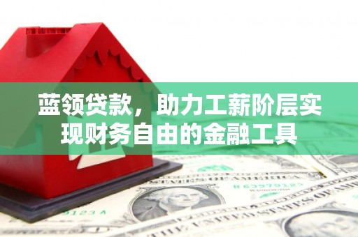 林州蓝领贷款，助力工薪阶层实现财务自由的金融工具