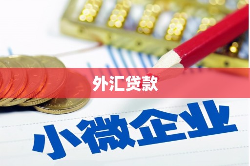 林州外汇贷款
