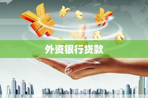 林州外资银行贷款