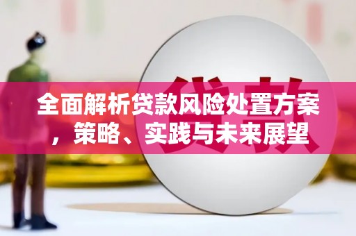 林州全面解析贷款风险处置方案，策略、实践与未来展望
