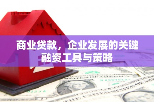 林州商业贷款，企业发展的关键融资工具与策略
