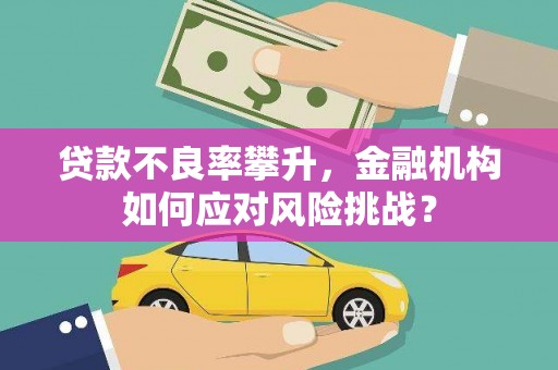 林州贷款不良率攀升，金融机构如何应对风险挑战？