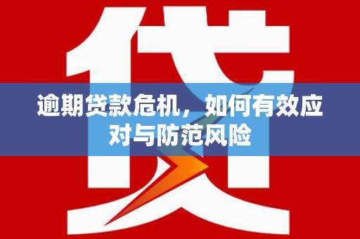 林州逾期贷款危机，如何有效应对与防范风险