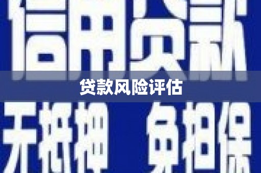林州贷款风险评估