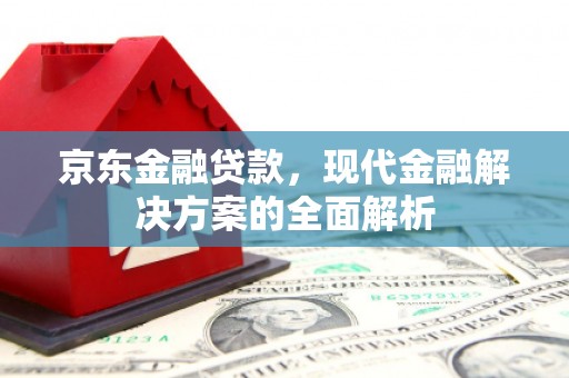 林州京东金融贷款，现代金融解决方案的全面解析