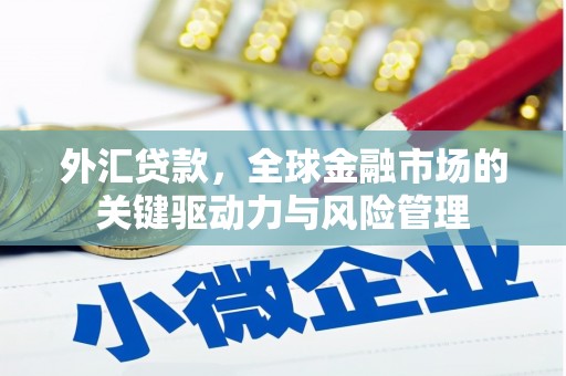 林州外汇贷款，全球金融市场的关键驱动力与风险管理