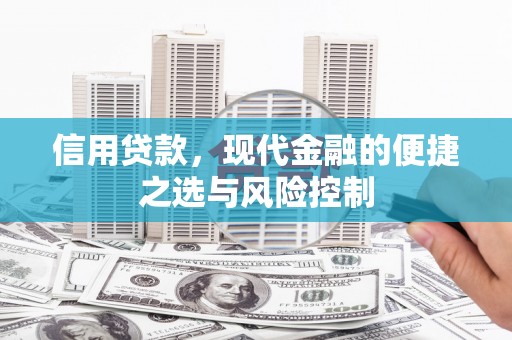 林州信用贷款，现代金融的便捷之选与风险控制