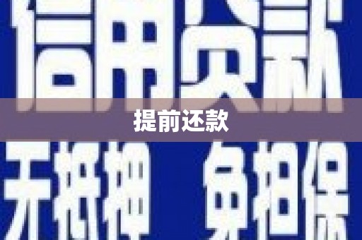 林州提前还款