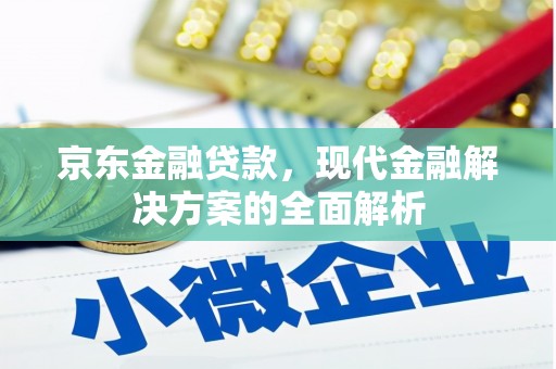 林州京东金融贷款，现代金融解决方案的全面解析
