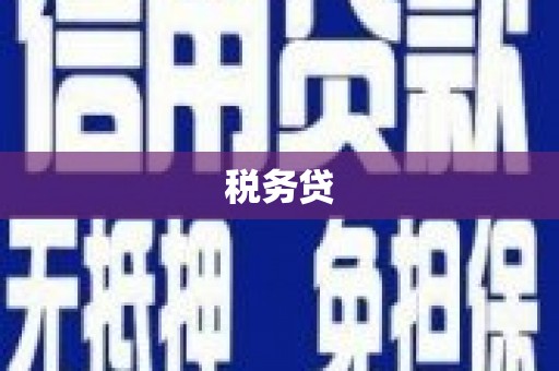 林州税务贷