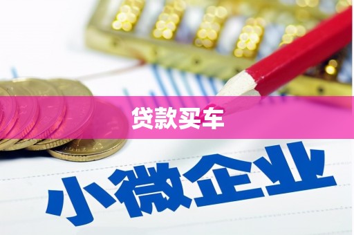 林州贷款买车